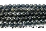 CAE323 15.5 inches 10mm round astrophyllite gemstone beads