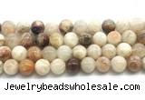 CSS853 15.5 inches 12mm round sunstone beads wholesale