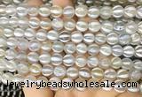 AGBS172 15 inches 8mm round tibetan dzi agate beads wholesale