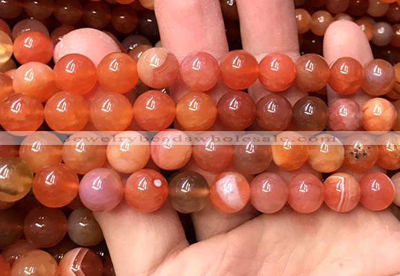 AGBS63 15 inches 10mm round orange botswana agate beads