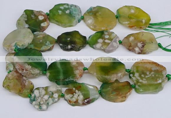 CAA1129 15.5 inches 25*35mm - 35*45mm freeform sakura agate beads