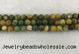 CAA1963 15.5 inches 10mm round banded agate gemstone beads