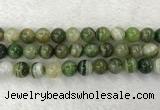 CAA1986 15.5 inches 16mm round banded agate gemstone beads