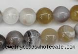 CAA226 15.5 inches 12mm round botswana agate gemstone beads