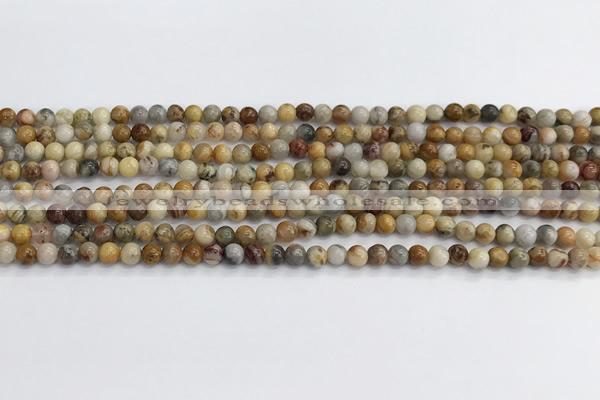 CAA2348 15.5 inches 4mm round crazy lace agate beads wholesale