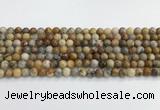 CAA2349 15.5 inches 6mm round crazy lace agate beads wholesale