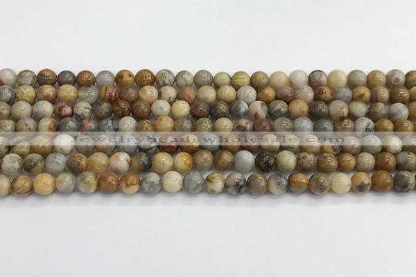 CAA2349 15.5 inches 6mm round crazy lace agate beads wholesale