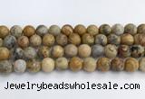 CAA2353 15.5 inches 14mm round crazy lace agate beads wholesale