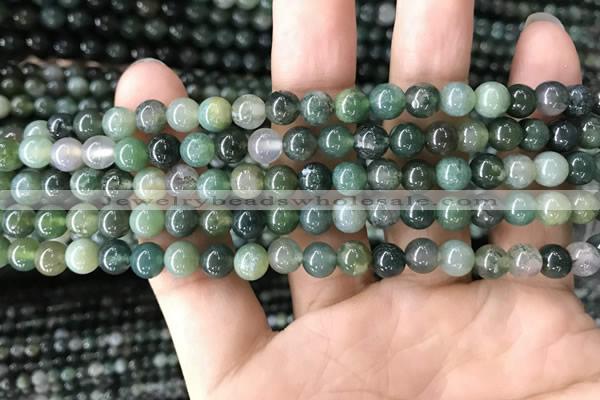 CAA2357 15.5 inches 6mm round moss agate beads wholesale