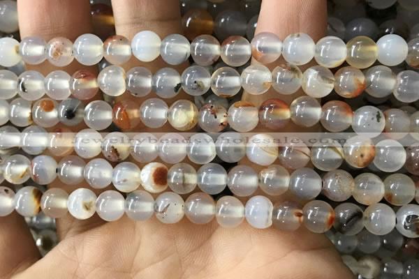 CAA3597 15.5 inches 6mm round dendritic agate beads wholesale