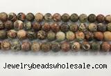 CAA3702 15.5 inches 12mm round rainforest agate beads wholesale