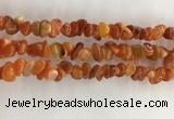 CAA3806 15.5 inches 4*6mm - 8*10mm chips red agate beads wholesale