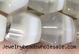 CAA3951 15.5 inches 12*12mm Madagascar agate beads wholesale