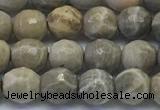 CAA3961 15.5 inches 6mm faceted round chrysanthemum agate beads