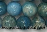 CAA3979 15.5 inches 10mm round chrysanthemum agate beads