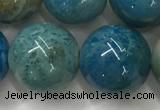 CAA3982 15.5 inches 16mm round chrysanthemum agate beads