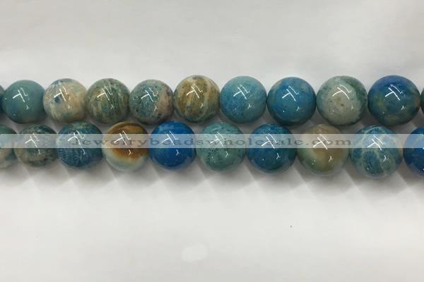 CAA3982 15.5 inches 16mm round chrysanthemum agate beads