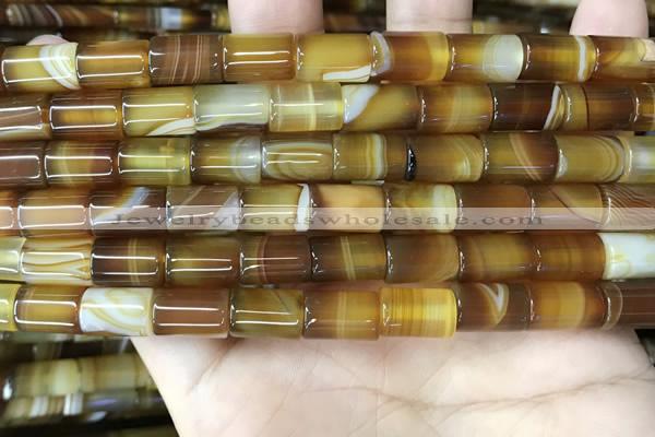 CAA4178 15.5 inches 8*12mm tube line agate beads wholesale