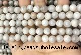 CAA4929 15.5 inches 8mm round grey agate beads wholesale