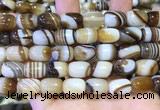 CAA5107 15.5 inches 10*14mm drum striped agate beads wholesale