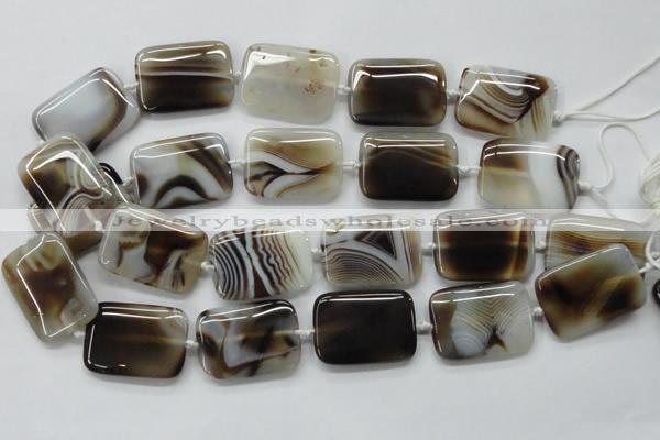 CAA537 15.5 inches 25*35mm rectangle madagascar agate beads