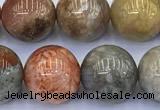 CAA5812 15 inches 10mm round chrysanthemum agate beads