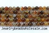 CAA6112 15.5 inches 8mm round dragon vein agate gemstone beads