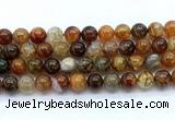 CAA6113 15.5 inches 10mm round dragon vein agate gemstone beads