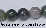 CAB434 15.5 inches 12mm round indian agate gemstone beads wholesale