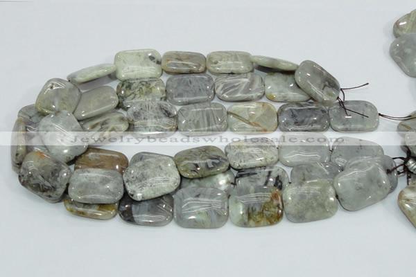 CAB88 15.5 inches 22*30mm rectangle silver needle agate gemstone beads