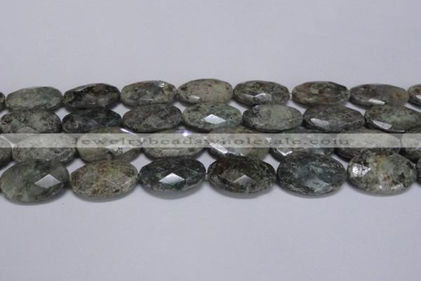 CAF150 15.5 inches 20*30mm faceted oval Africa stone beads