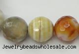 CAG1815 15.5 inches 14mm faceted round Chinese botswana agate beads