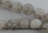 CAG1899 15.5 inches 14mm round grey agate beads wholesale