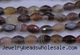 CAG2755 15.5 inches 5*8mm faceted rice botswana agate beads wholesale