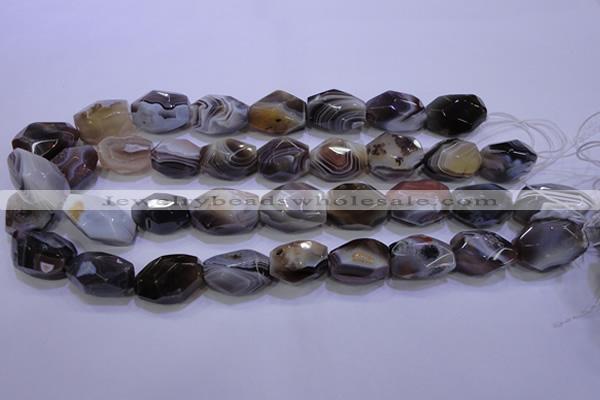 CAG2775 15.5 inches 14*20mm faceted nuggets botswana agate beads wholesale