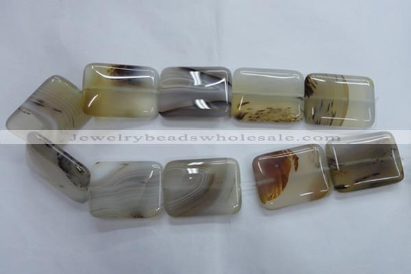 CAG3348 15.5 inches 30*40mm rectangle natural grey agate beads