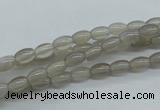 CAG3560 15.5 inches 4*6mm rice grey agate gemstone beads