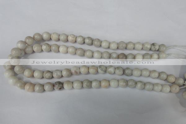 CAG3604 15.5 inches 10mm round natural crazy lace agate beads