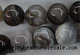 CAG3686 15.5 inches 16mm round botswana agate beads wholesale