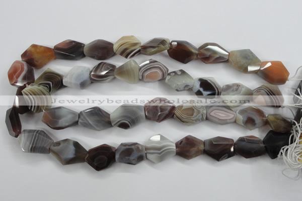 CAG3732 15*18mm – 20*23mm faceted freeform botswana agate beads