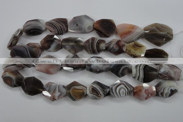 CAG3734 15.5 inches 18*22mm – 22*26mm faceted freeform botswana agate beads