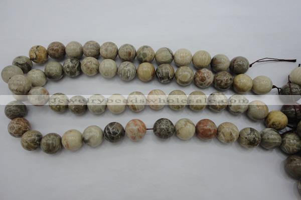 CAG3885 15.5 inches 14mm round chrysanthemum agate beads