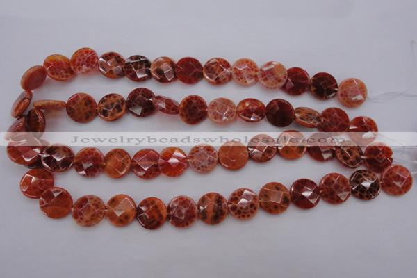 CAG4266 15.5 inches 15mm faceted coin natural fire agate beads