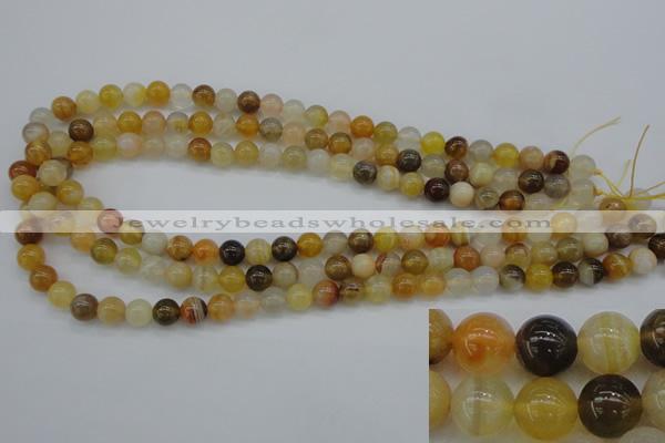 CAG4322 15.5 inches 8mm round botswana agate gemstone beads