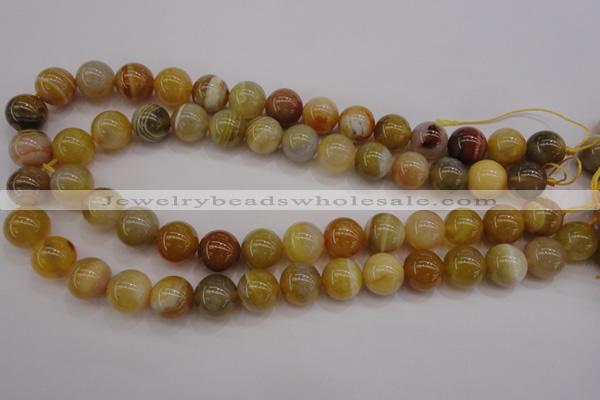 CAG4325 15.5 inches 14mm round botswana agate gemstone beads