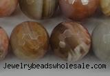 CAG4476 15.5 inches 16mm faceted round pink botswana agate beads