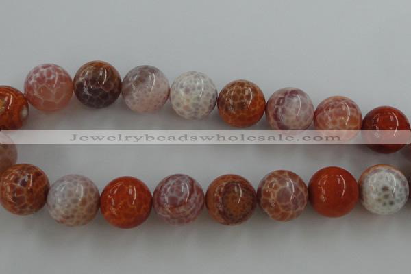 CAG5568 15.5 inches 20mm round natural fire agate beads wholesale