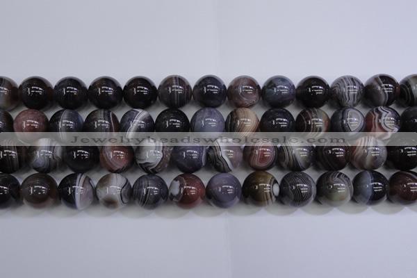 CAG5957 15.5 inches 18mm round botswana agate beads wholesale