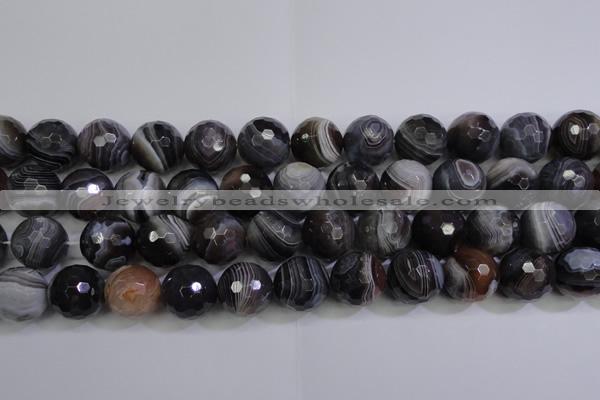 CAG5965 15.5 inches 16mm faceted round botswana agate beads wholesale