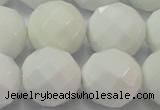 CAG6105 15.5 inches 14mm faceted round white agate gemstone beads